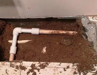 睢县测漏水哪家好