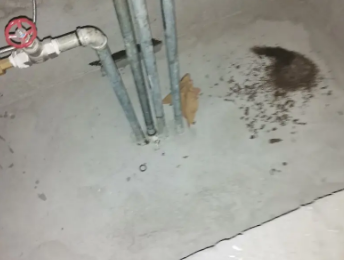 睢县卫生间测漏水价格明细